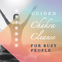 Guided Chakra Cleanse by Belinda Davidson